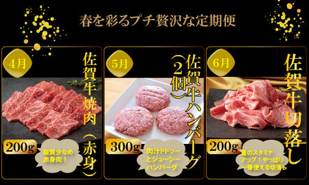 【定期便】 (連続12回) 佐賀牛 やまとフーズ 単身・おひとり様用 Q144-002
