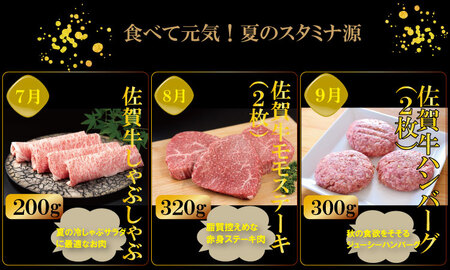 【定期便】 (連続12回) 佐賀牛 やまとフーズ 単身・おひとり様用 Q144-002