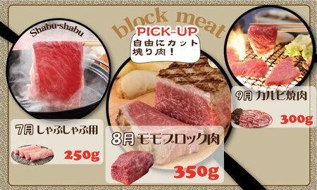 【定期便】 (連続12回) 佐賀牛 やまとフーズ おふたり様 二名 向けコース Q192-001