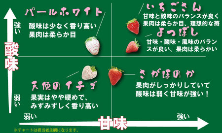 【先行予約（１月から順次出荷】新品種 いちごさん 4箱セット ふるかわ農園　苺  B140-003