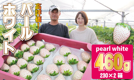 白いちご パールホワイト（2パック）水田 苺 農家 直送品  B150-004