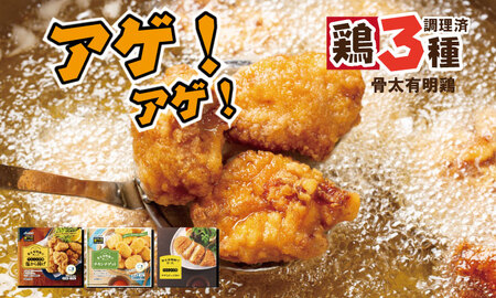 骨太有明鶏 （ チキンナゲット 塩から揚げ ササミチーズカツ ） 加工品 詰め合わせ 簡単 料理 レンチン 鶏3種類 揚げ JAフーズ さが 送料無料 おかず お弁当 セット 人気 ランキング 高評価 鶏肉 国産 佐賀県産 B110-021