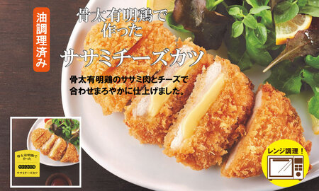 骨太有明鶏 （ チキンナゲット 塩から揚げ ササミチーズカツ ） 加工品 詰め合わせ 簡単 料理 レンチン 鶏3種類 揚げ JAフーズ さが 送料無料 おかず お弁当 セット 人気 ランキング 高評価 鶏肉 国産 佐賀県産 B110-021