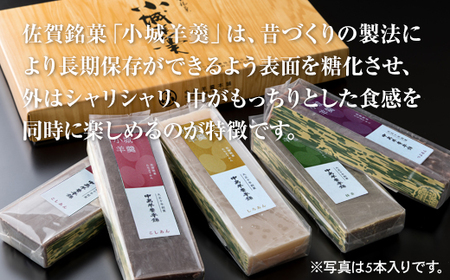 小城羊羹 2本入り A070-040 羊羹 和菓子