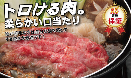 【定期便】佐賀牛 A5 焼肉・しゃぶしゃぶすき焼き 厳選部位 合計800g（400g x 各1P）6回定期 計4.8kg(800gx6)  Q126-003 桑原畜産 小分け ブランド牛 黒毛和牛 牛肉 人気 高評価 佐賀県 小城市