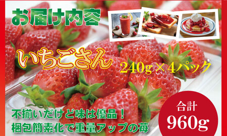 【先行予約令和8年1月配送開始】 訳あり 不揃い粒の いちごさん 通常サイズ （ 240ｇ×４Ｐ ）960g 江島農園 農家 直送品 果物 【A090-022】
