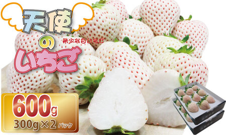 佐賀県産いちご 天使のいちご（白いちご）300gx2パックセット TM 苺 農家 直送品 B175-004