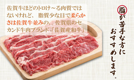 佐賀産和牛 切り落とし（1,000g） B180-011