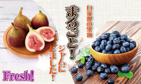 まるごと濃縮!いちじく & ブルーベリー ジャム セット (190g×各1個) ジョブクリエイト フルーツ 果実 自家製 天然素材 健康 A070-039