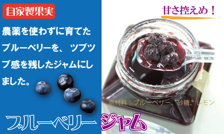 まるごと濃縮!いちじく & ブルーベリー ジャム セット (190g×各1個) ジョブクリエイト フルーツ 果実 自家製 天然素材 健康 A070-039