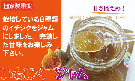 まるごと濃縮!いちじく & ブルーベリー ジャム セット (190g×各1個) ジョブクリエイト フルーツ 果実 自家製 天然素材 健康 A070-039