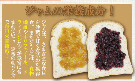 まるごと濃縮!いちじく & ブルーベリー ジャム セット (190g×各1個) ジョブクリエイト フルーツ 果実 自家製 天然素材 健康 A070-039