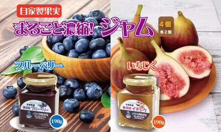 まるごと濃縮！いちじく ＆ ブルーベリー ジャム セット （190g×各2個） ジョブクリエイト フルーツ 果実 自家製 天然素材 健康  B100-010