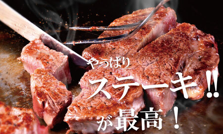 佐賀産和牛ヒレステーキ120g×5 潮風F ヒレ フィレ 牛肉 D550-002