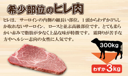 佐賀産和牛ヒレステーキ120g×3 潮風F  ステーキ 牛肉  D330-003