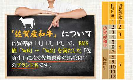 佐賀産和牛モモステーキ(赤身肉)200g×5 潮風F C290-003