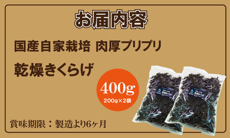 国産 自家製 乾燥 きくらげ （400g）ジョブクリエイト 肉厚 プリプリ キクラゲ 中華料理 ラーメン スープ アクセントに！ B130-053
