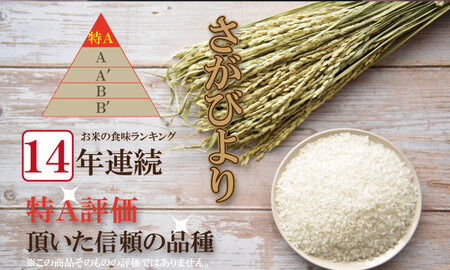 【3月配送】佐賀ブランド米「さがびより10kg（5kg×2）潮風F C280-001 白米 お米 