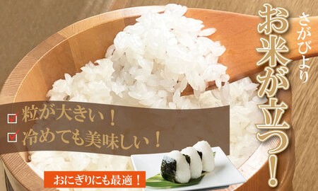 【3月配送】佐賀ブランド米「さがびより10kg（5kg×2）潮風F C280-001 白米 お米 