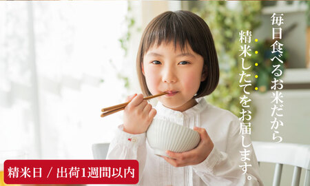 【3月配送】佐賀ブランド米「さがびより10kg（5kg×2）潮風F C280-001 白米 お米 