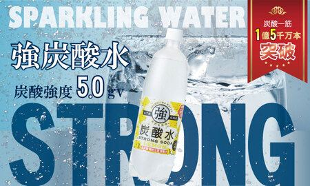 強炭酸水レモン 1,000ml×15本 A060-009 炭酸 飲料