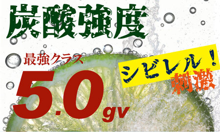 強炭酸水レモン 1,000ml×15本 A060-009 炭酸 飲料