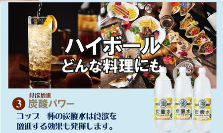 強炭酸水レモン 1,000ml×15本 A060-009 炭酸 飲料