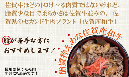 佐賀産和牛モモスライス赤身肉（500g）潮風F  B150-024