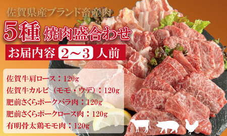 佐賀県産ブランド畜産肉（佐賀牛・肥前さくらポーク・有明骨太鶏）焼肉 盛合わせセット（600g） ブランド牛 人気 ランキング 高評価 牛肉 国産 佐賀県産 黒毛和牛 牛 佐賀 小城市 有明・潮風ファーム  B140-041