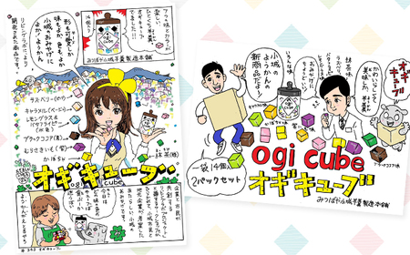 OGI CUBE(おぎキューブ) 2パックセット A065-015 みつばや 羊羹 和菓子 小城羊羹