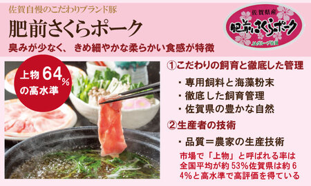 佐賀県産肥前さくらポーク モモ スライス しゃぶしゃぶ用（2.5kg） 潮風F 豚肉 B130-009