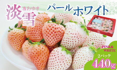 淡雪＆パールホワイト 各1パック 220g×2（合計440g）いちご 水田苺園  B140-038 いちご