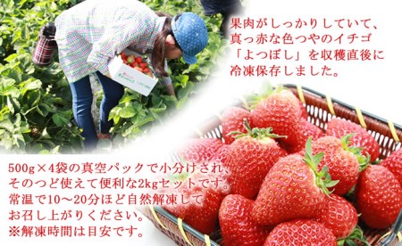 新種「よつぼし」冷凍いちご（２kg）しもむら農園 B130-011