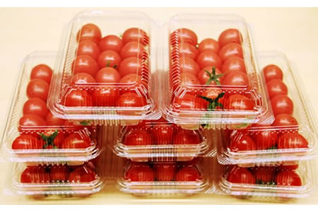 真子のミニトマト（約1,3kg）農家 直送品 A085-017 果物 くだもの フルーツ 人気 ランキング 高評価 佐賀県 小城市