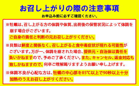 【先行予約】【3月配送】※指定日必須※ 天然 有明海産 住之江 冷蔵牡蠣 殻付き スミ☆スター 2キロ B120-047-03
