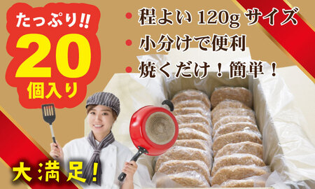 肉屋特製 佐賀牛入ハンバーグ 20個 B150-028  / ハンバーグ  
