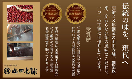 昔ながらの小城羊羹お試し12個入り 山田老舗 詰め合わせ A060-014 羊羹 和菓子