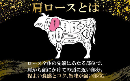 佐賀牛 肩ロース すき焼き 500g B170-028 すき焼き