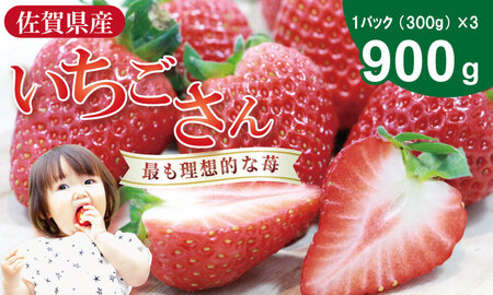 いちごさん 3箱セット（合計 900g） 苺 フルーツ 果物 いちご B100-028