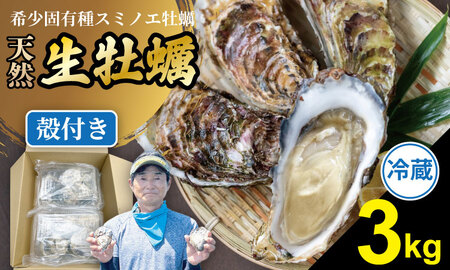 【3月配送】【先行予約】※指定日必須※ 天然 有明海産 住之江牡蠣 殻付き 冷蔵牡蠣  5㎏ C230-009-03 ハクエイ水産
