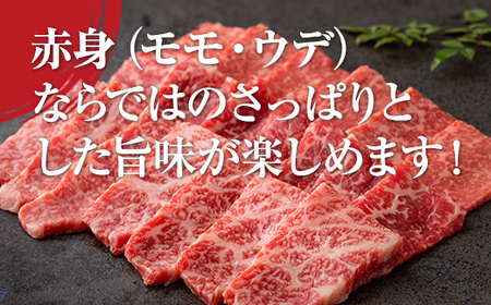 佐賀牛 焼肉 カルビ 800g 牛肉 焼肉 赤身 C210-019
