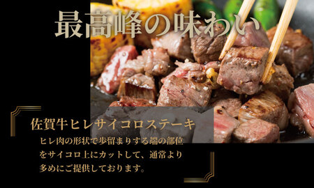 佐賀牛 ヒレステーキ セット 計1kg E840-001 フィレ肉