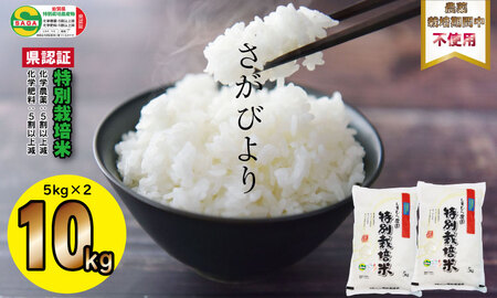 令和6年度産  もっちり艶々「農薬：栽培期間中不使用」さがびより（5㎏×2袋）しもむら農園  C250-001