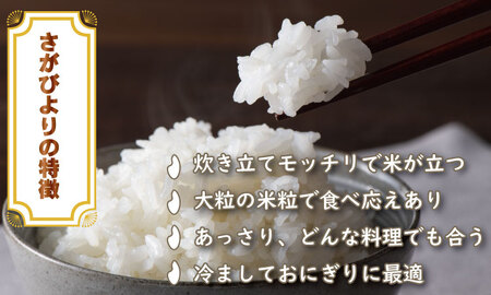 令和6年度産  もっちり艶々「農薬：栽培期間中不使用」さがびより（5㎏×2袋）しもむら農園  C250-001