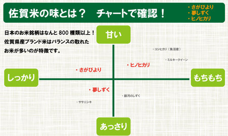 令和6年度産  もっちり艶々「農薬：栽培期間中不使用」さがびより（5㎏×2袋）しもむら農園  C250-001