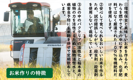 令和6年度産  もっちり艶々「農薬：栽培期間中不使用」さがびより（5㎏×2袋）しもむら農園  C250-001