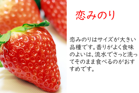 B10 147 白いちごの天使のいちご 恋みのり 各１パック Tmファーム 佐賀県小城市 ふるさと納税サイト ふるなび