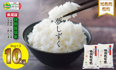 特別栽培米 「減農薬」夢しずく（5㎏×２）しもむら農園 B165-004