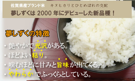 特別栽培米 「減農薬」夢しずく（5㎏×２）しもむら農園 B165-004