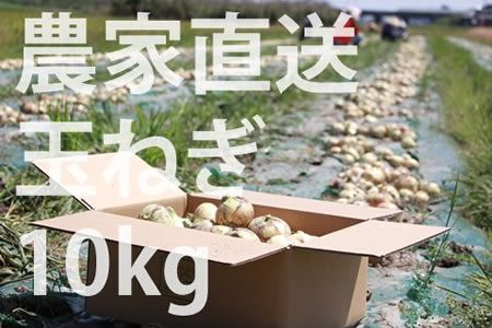 A5-056 農家直送!佐賀県産玉ねぎ(10kg)M~2Lサイズ 5千円コース